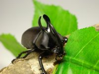 000000000037.jpg?w=MjAw&t=