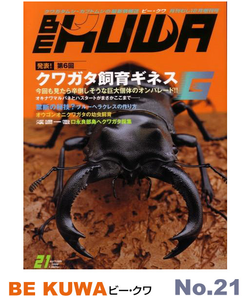 BE・KUWA（ビー・クワ）21号☆クワガタ飼育ギネス大特集｜ドルクスダンケ
