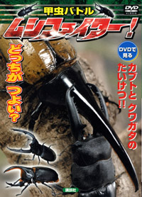 甲虫バトル ムシファイター_イメージ