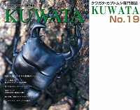 KUWATA（クワタ）19号_イメージ