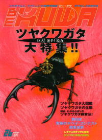 BE・KUWA（ビー・クワ）26号★ツヤクワガタ大特集_イメージ
