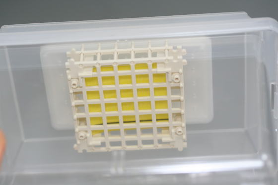 コバエシャッター