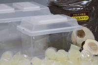 クワガタ通常飼育スターターセット_イメージ