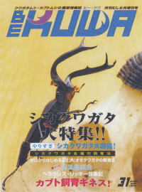 BE・KUWA（ビー・クワ）31号★シカクワガタ大特集_イメージ