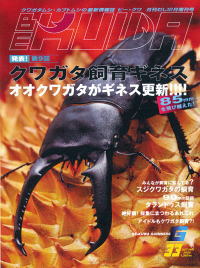 BE・KUWA（ビー・クワ）33号★第９回クワガタ飼育ギネス大特集_イメージ