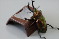 8gゼリーホルダー2個セット_イメージ