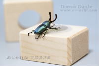 おしゃれな 工芸えさ皿_イメージ