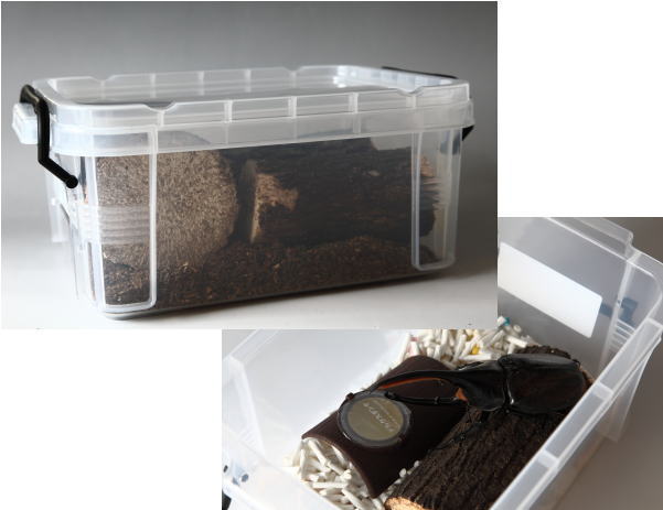 コンテナケース【ソリッドボックス(旧NEU*ノイ)】