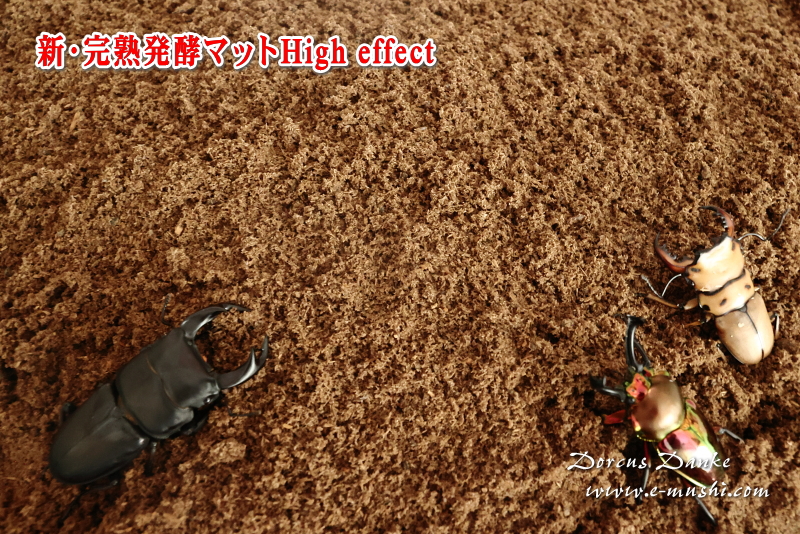 クワガタ産卵昆虫マット
