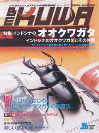 BE・KUWA（ビー・クワ）36号★インドシナのオオクワガタ大特集!_イメージ