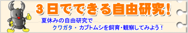 夏休み自由研究　クワガタ カブトムシ を使って簡単に作成