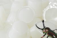 プロゼリー(昆虫ゼリー)