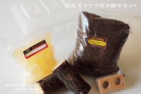 国産オオクワガタ越冬セット_イメージ