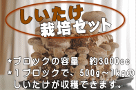 しいたけ栽培キット_イメージ