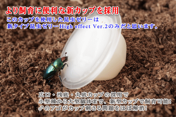 昆虫ゼリー 国産 新タイプ昆虫ゼリーHigh effect 【 Ver.2】｜ドルクス