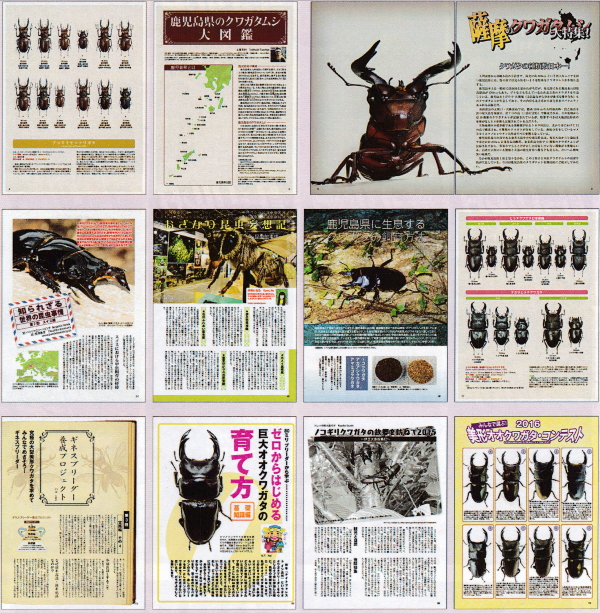 BE KUWA 昆虫雑誌 セット 50号〜59号 BE・KUWA（ビー・クワ）59号☆薩摩のクワガタムシ大特集!