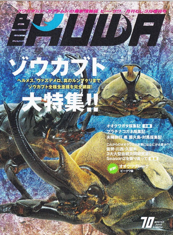 BE・KUWA（ビー・クワ）70号☆ソウカブト大特集!!｜ドルクスダンケ