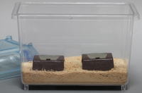 クリーンケースssに８ｇホルダーをいれてみました