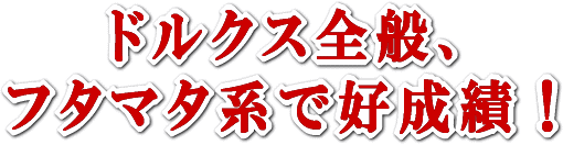 ドルクス全般、フタマタ系で好成績!