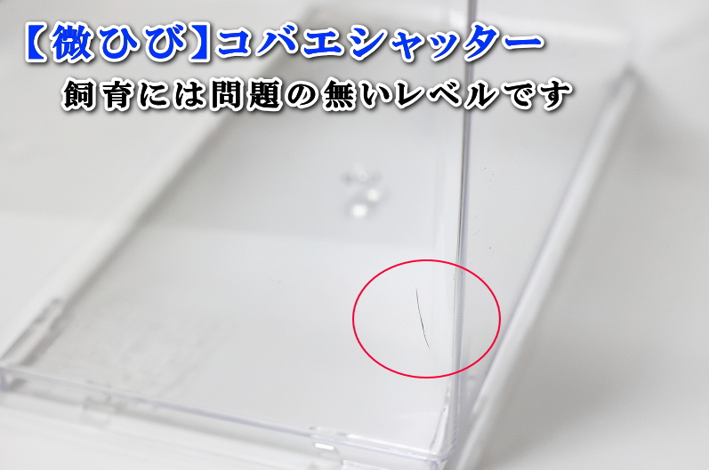 コバエシャッター