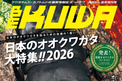 BE・KUWA（ビー・クワ）100号★日本のオオクワガタ大特集!!