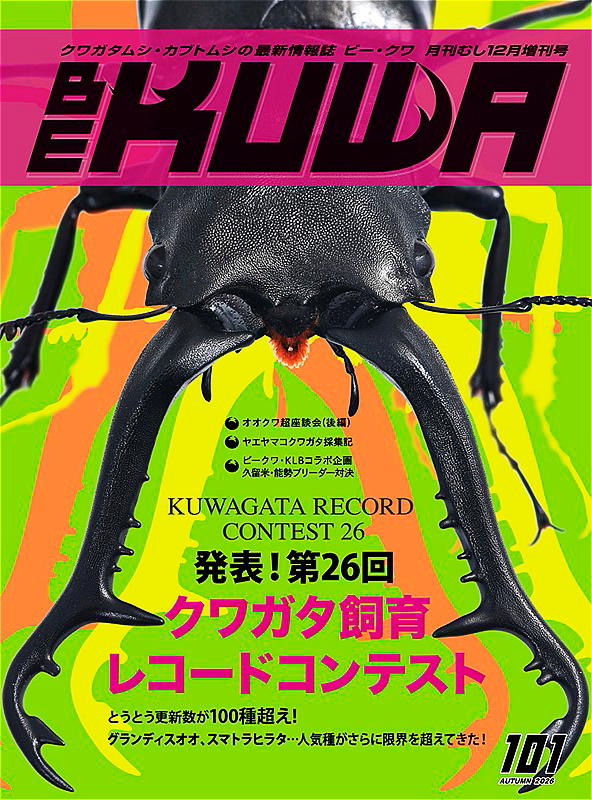 第26回クワガタ飼育レコードコンテスト!!