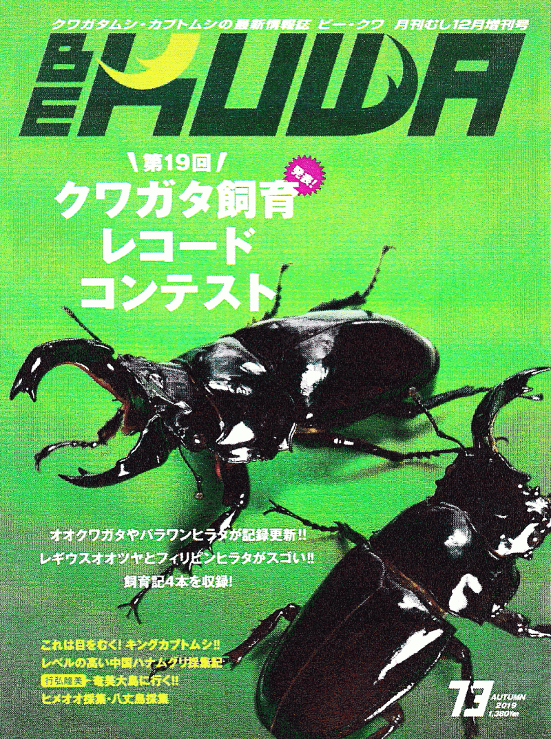 BE・KUWA（ビー・クワ）73号★第１９回クワガタ飼育レコードコンテスト