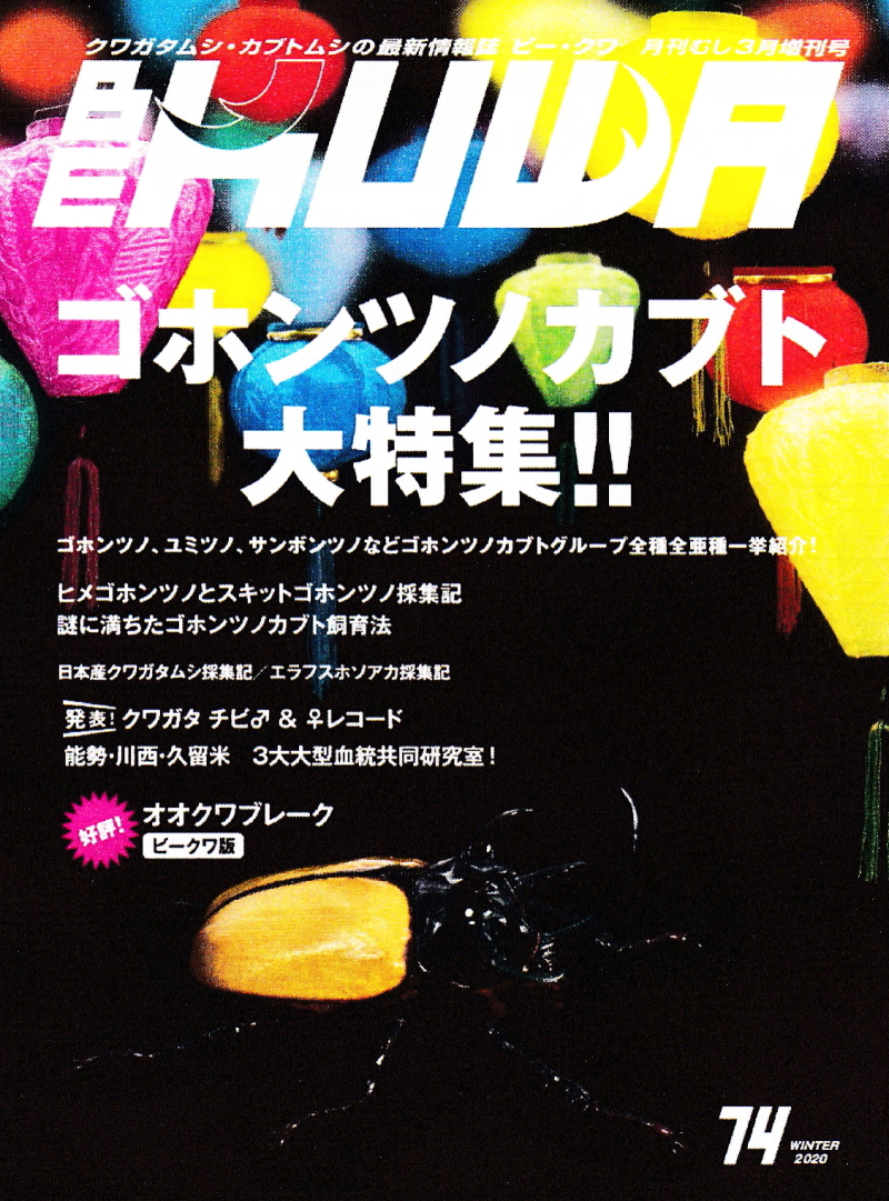 BE・KUWA（ビー・クワ）74号☆ゴホンヅノカブト 大特集｜ドルクスダンケ