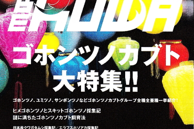 BE・KUWA（ビー・クワ）74号★ゴホンヅノカブト 大特集