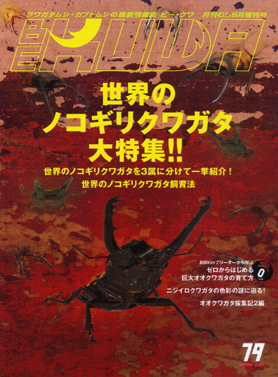 BE・KUWA（ビー・クワ）79号☆世界のノコギリクワガタ大特集