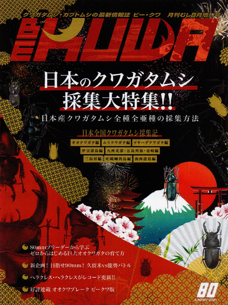 BE・KUWA（ビー・クワ）80号☆日本のクワガタムシ採集大特集