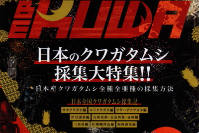 BE・KUWA（ビー・クワ）80号★日本のクワガタムシ採集大特集!!