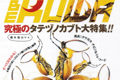 BE・KUWA（ビー・クワ）82号★タテヅノカブト大特集!!