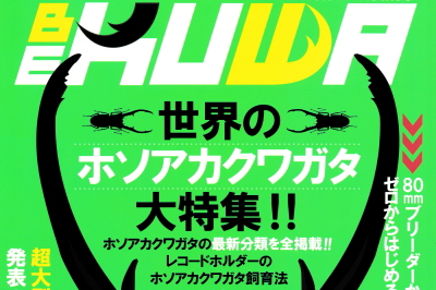 BE・KUWA（ビー・クワ）83号★世界のホソアカクワガタ大特集!!