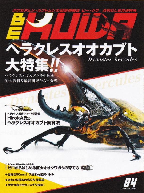 BE・KUWA（ビー・クワ）84号☆ヘラクレスオオカブト大特集｜ドルクスダンケ