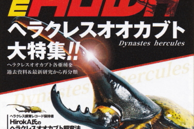 BE・KUWA（ビー・クワ）84号★ヘラクレスオオカブト大特集