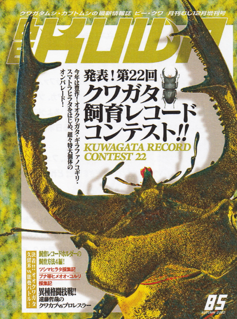 BE・KUWA（ビー・クワ）85号☆飼育レコード発表！｜ドルクスダンケ