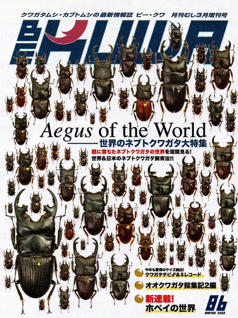 BE・KUWA（ビー・クワ）86号☆世界のネブトクワガタ大特集!!｜ドルクス