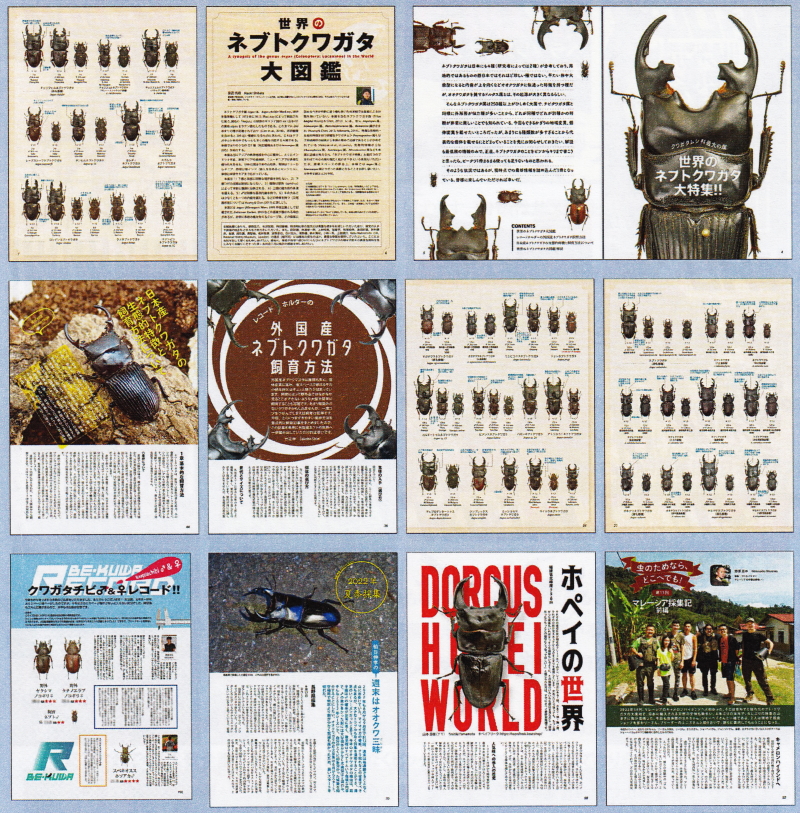 ビークワ BE KUWA 1-30号 未読美品 稀少セット 送料無料 BE-KUWA一覧