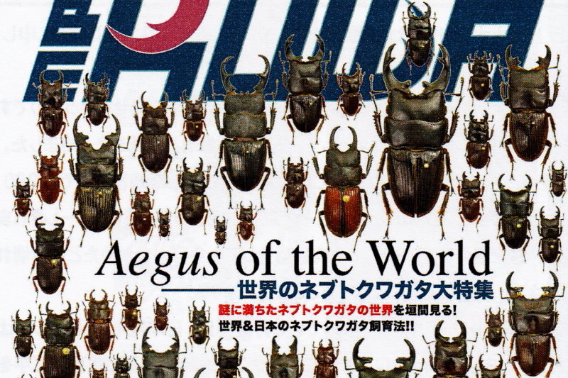 BE・KUWA（ビー・クワ）86号☆世界のネブトクワガタ大特集!!｜ドルクス