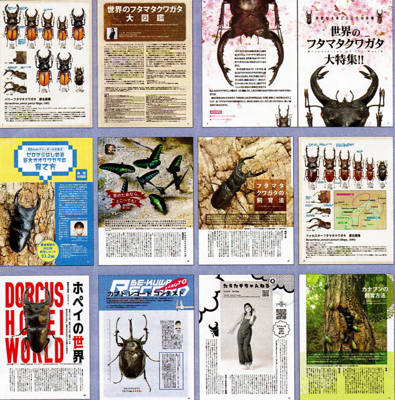 BE・KUWA（ビー・クワ）87号世界のフタマタクワガタ大特集!!