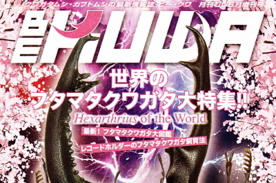BE・KUWA（ビー・クワ）87号★世界のフタマタクワガタ大特集!!