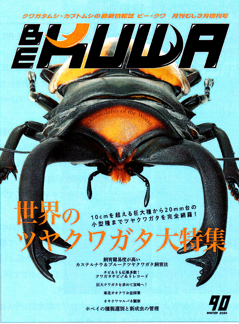 BE・KUWA（ビー・クワ）90号☆世界のツヤクワガタ大特集!!｜ドルクスダンケ