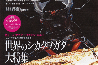 BE・KUWA（ビー・クワ）91号★世界のシカクワガタ大特集!!
