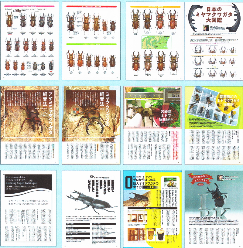 BE・KUWA（ビー・クワ）92号★日本のミヤマクワガタ大特集!!
