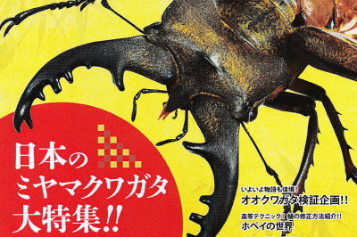 BE・KUWA（ビー・クワ）92号★日本のミヤマクワガタ大特集!!