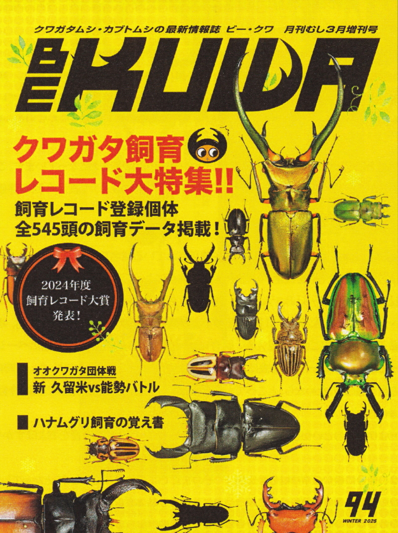 BE・KUWA（ビー・クワ）94号☆クワガタ飼育レコード大特集!!｜ドルクス