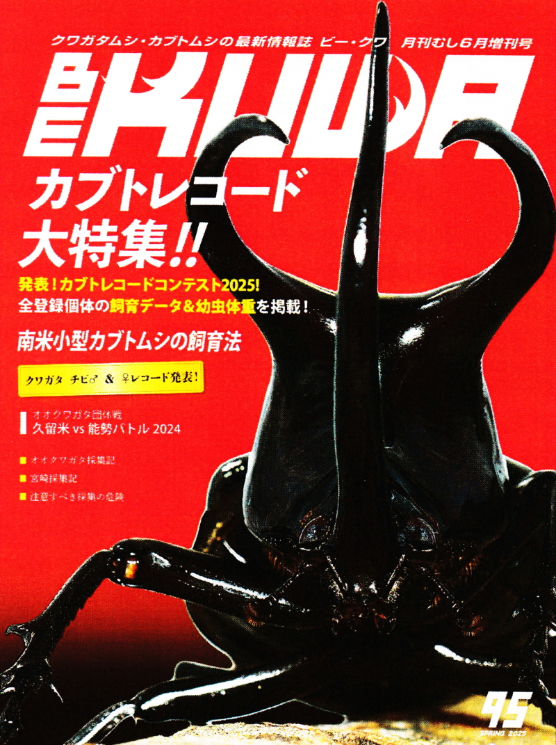 BE・KUWA（ビー・クワ）95号☆カブトレコード大特集!!｜ドルクスダンケ
