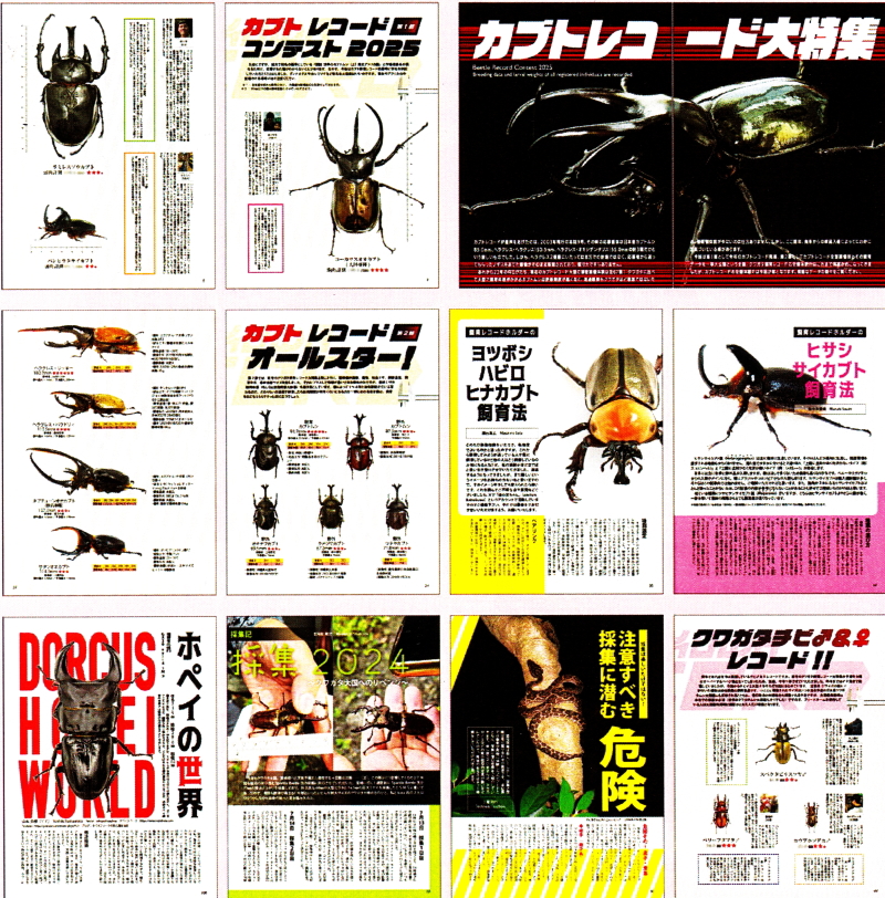 BE・KUWA（ビー・クワ）95号