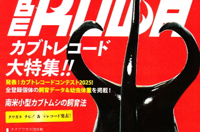 BE・KUWA（ビー・クワ）95号★カブトレコード!!